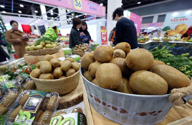 키위 사진 [사진출처 = 연합뉴스]