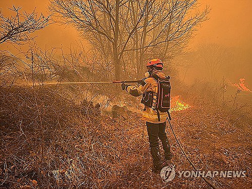 경북 의성 산불, 화재 진화 작업 펼치는 소방대원 (의성=연합뉴스) 22일 화재가 발생한 경북 의성군 안평면 괴산리 야산에서 경북소방본부 대원이 진화 작업을 펼치고 있다. 2025.3.22 [경북소방본부 제공. 재판매 및 DB 금지] photo@yna.co.kr