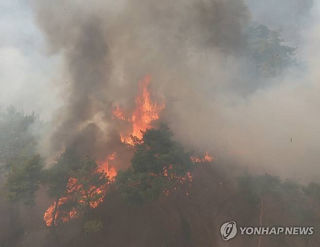 불타는 야산 (울산=연합뉴스) 김용태 기자 = 25일 울산시 울주군 언양읍에서 난 산불로 화염과 자욱한 연기가 발생하고 있다. 2025.3.25 yongtae@yna.co.kr