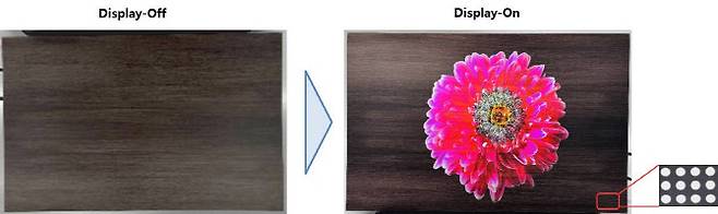 히든 디스플레이(사진=미래나노텍)