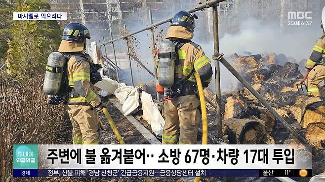 IMG_5953.jpeg 초등학생, "마시멜로 구워먹으려다.." 공원에 불