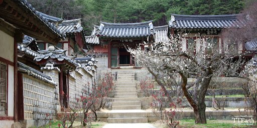 image.jpeg 하회마을 외 안동의 유네스코 세계문화유산들 ㅠㅠ 안동하회마을 외 안동의 유네스코 유산들.........ㅠㅠㅠ