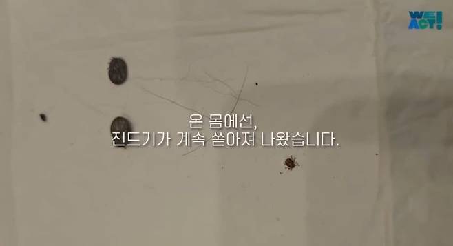 19.jpg 목줄 때문에 산불에서 도망 못 간 강아지들....jpg