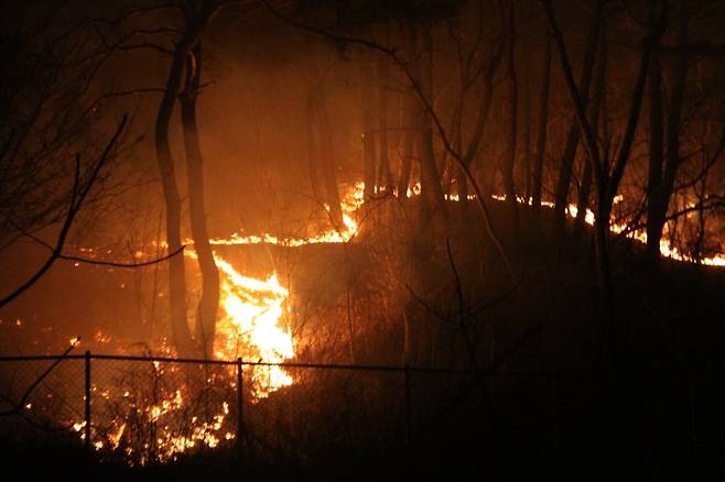 26일 오전 3시 경북 영덕군 영덕읍 한 야산에서 산불이 확산되고 있다. 뉴시스