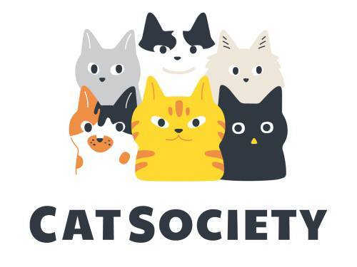 고양이처럼 자유로운 게임을 만드는 캣소사이어티