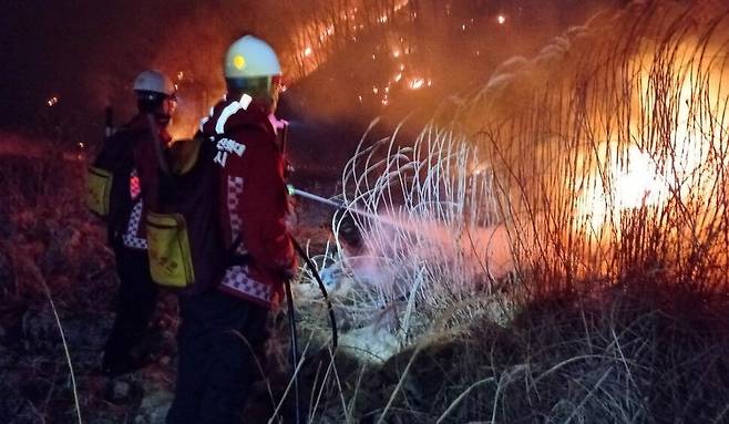 경북 의성 산불이 안동 길안면으로 번져 25일 이틀째 확산하는 가운데 산불진화대원들이 불을 끄고 있다. 안동시 제공