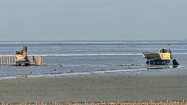 지난달 27일 경기도 화성시 매향리 갯벌 습지보호지역에서 염생식물 식재 사업이 진행되고 있다. 화성환경운동연합 제공