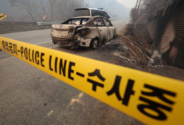 ▲ 26일 경북 영덕군 영덕읍 한 도로에 산불에 불탄 차량이 세워진 가운데 폴리스라인이 설치돼 있다. 이 차량에서는 산불 사망자 3명이 나왔다. 연합뉴스