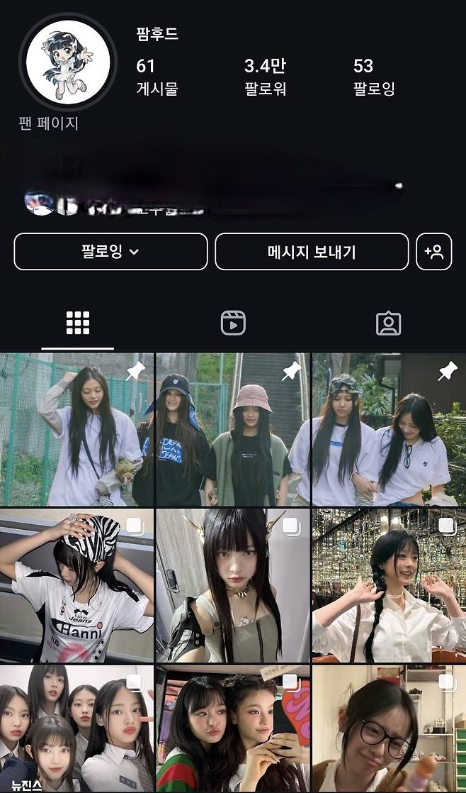 Screenshot_20250327_233519_Instagram.jpg 뉴진스 팬덤 팀버니즈 스텐스의 반하는 글을 적었을때 그 결과