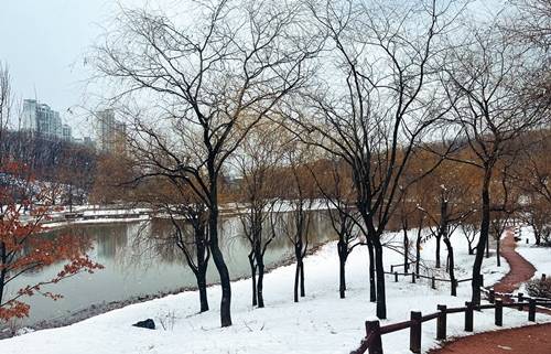 호수가 있는 풍경