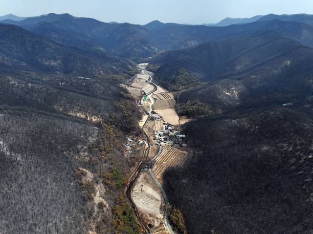 ▲ 27일 경북 의성군 점곡면 사촌리 마을 주변 야산이 전날 번진 산불에 타 검게 그을려 있다. 연합뉴스