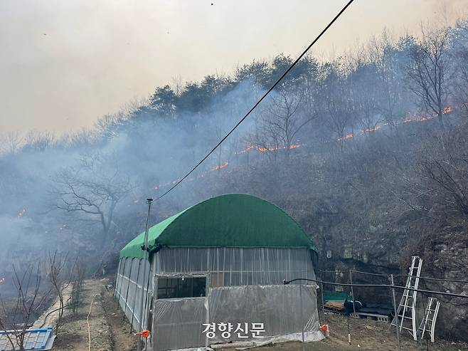 경북 의성군 신평면 검곡리에 사는 오병화씨 집 뒤편 야산으로 지난 25일 오후 산불이 확산하고 있다. 오씨는 직접 호스를 잡고 비탈을 올라 물을 뿌렸다. 백경열 기자