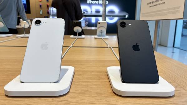 한 애플스토어에서 아이폰 16e 두 색상 제품(화이트, 블랙)이 진열돼 있다. 정옥재 기자