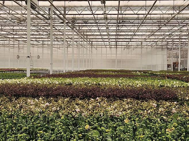 [홍성=뉴시스] 스마트팜 자료사진.  *재판매 및 DB 금지
