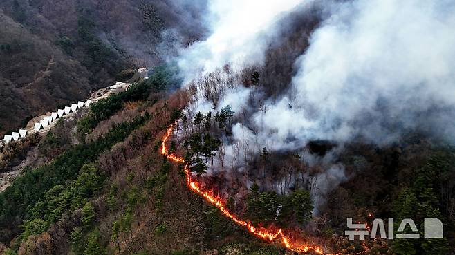 [산청=뉴시스] 차용현 기자 = 산청 산불 발생 6일째를 맞은 27일 오후 지리산국립공원과 맞닿은 경남 산청군 구곡산에 난 산불이 마을쪽으로 향하고 있다. 2025.03.27. con@newsis.com