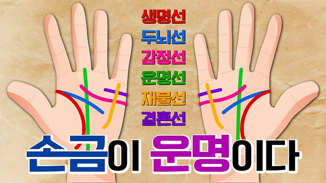 손금 이미지