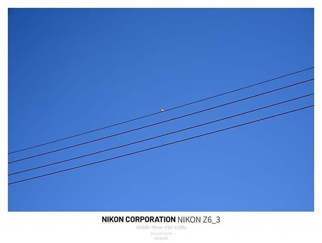 0996e319b5826efe20b5c6b236ef203e073237a3870a30888bba