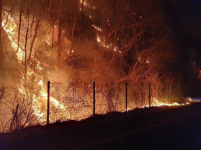 사진 제공 경북소방본부