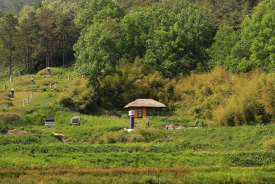 나주시 다시면 운봉리에 있는 고려 말 정도전의 유배지. 당시 이 일대는 거평부곡이었다. [사진 이익주]
