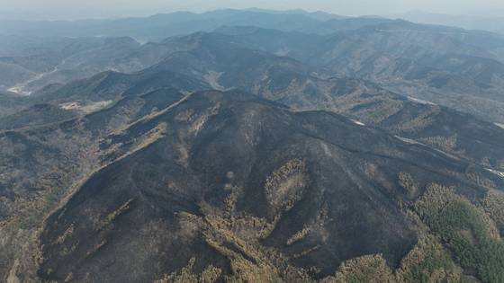 28일 경북 의성군 산림이 산불로 폐허가 되어있다. 김종호 기자