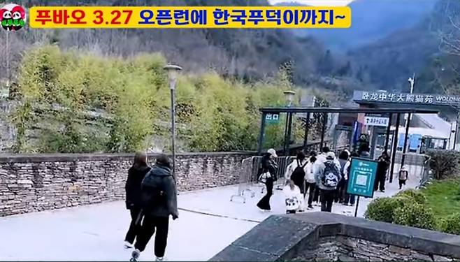27일 아침 푸바오를 보기위한 관람객들의 오픈런[채널 푸동푸동]