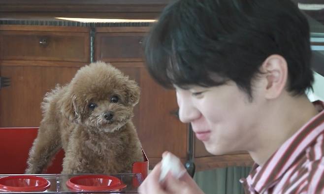 /사진=MBC '나 혼자 산다'