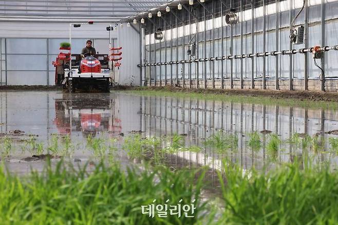 지난해 경기 이천의 한 농가에서 열린 ‘임금님표이천쌀 전국 첫 모내기 행사’에서 농부가 이앙기로 모내기를 하고 있다.ⓒ뉴시스