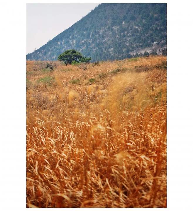 06bcdb27eae639aa658084e54484746e3d6c9c5240e8428fd1dd458e061613a25cfd2da4a6373d16ebaee036d2b99a2c