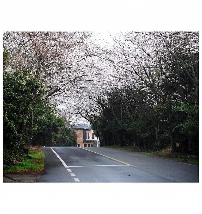 06bcdb27eae639aa658084e54484746e3d6c9c5240e8428dd7d2478c061610a208318ce174fa09f303ac17154568bc91