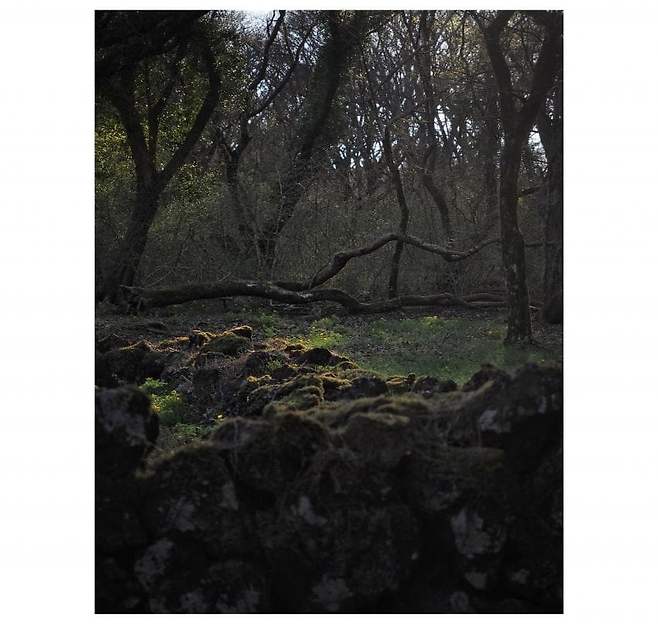 06bcdb27eae639aa658084e54484746e3d6c9c5240e8428fd1dd458e06141ca25af2602bcc8618107585ee92a23eab3e