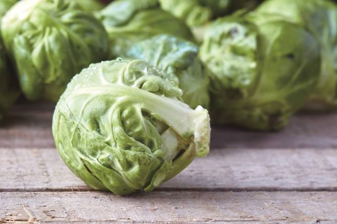 양배추. 게티이미지뱅크 제공