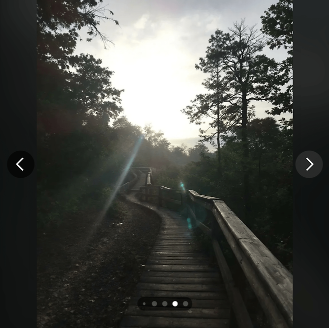 ai 실사짤 발전수준