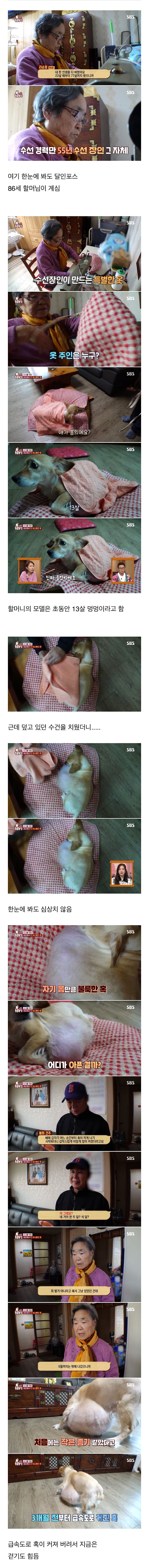 image.png 80대 할머니를 울게 만든 동물농장 제작진들 .jpg