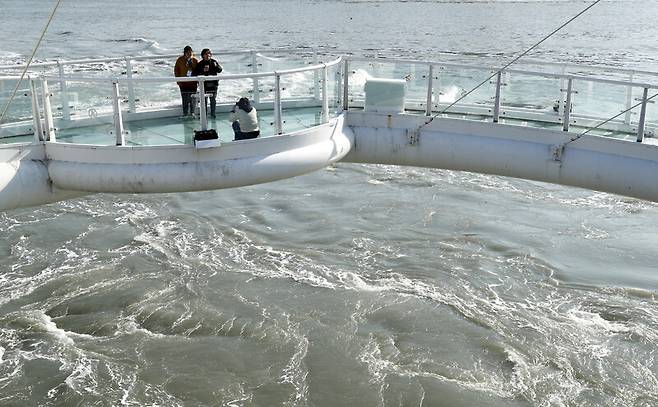 유속이 시속 24㎞인 해남 울돌목은 이순신 장군이 명량대첩을 이끈 바다다. 지금도 휘몰아치는 물 모양새가 공포로 다가온다. 이곳엔 명량대첩 해전사 기념전시관, 명량해상케이블카, 스카이워크 등이 조성돼 있다. 박미향 기자