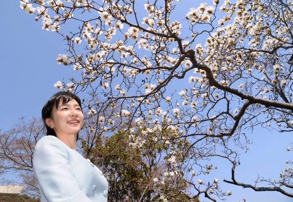연꽃을 닮은 아름다운 꽃이 나무에서 핀다해서 이름지어진 목련은 단아하면서도 화려한 이미지를 지니고 있습니다.
