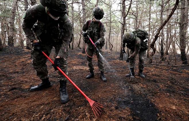 경북 의성군 등 북동부 5개 시·군을 휩쓴 역대 최악의 산불을 일으킨 혐의를 받는 용의자가 다음주 소환 조사를 받는다. 사진은 28일 경북 의성군 단촌면 방하리 산불 현장에 50사단과 2신속대응사단 장병들이 잔불 진화 지원작전에 나선 모습. /사진=뉴시스