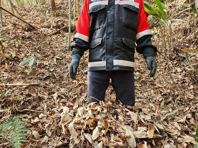 지리산에 쌓인 낙엽층. 산림청 제공