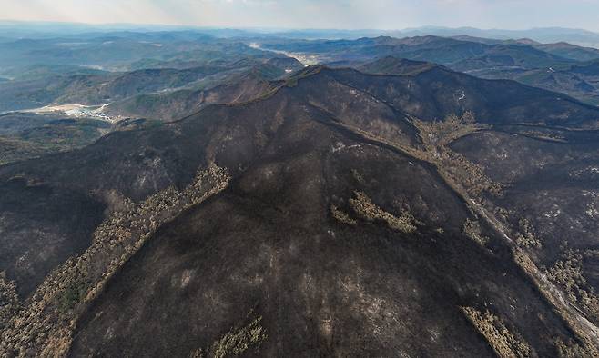 28일 경북 의성군 산림이 산불에 초토화된 모습을 보이고 있다. 산림청은 이날 일주일간 이어진 경북 산불의 주불 진화 완료를 선언했다. 연합뉴스