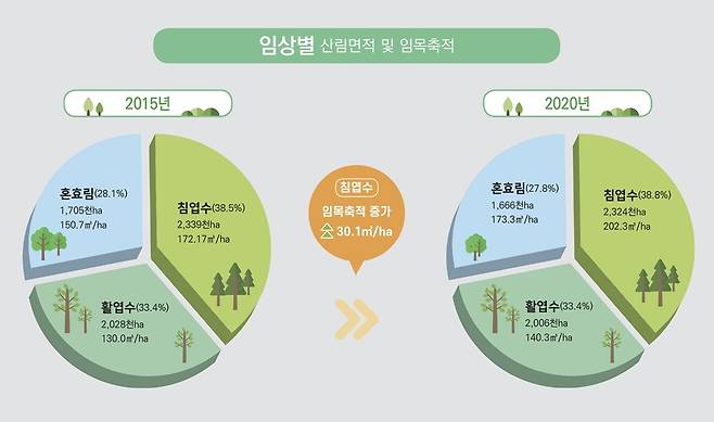 2020년 침엽수림 등 수종 비중 현황. 산림청