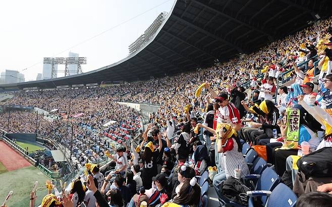 ▲ 올 시즌 개막 이후 연일 매진되며 폭발적인 야구 인기를 상징하고 있는 잠실야구장 ⓒ연합뉴스