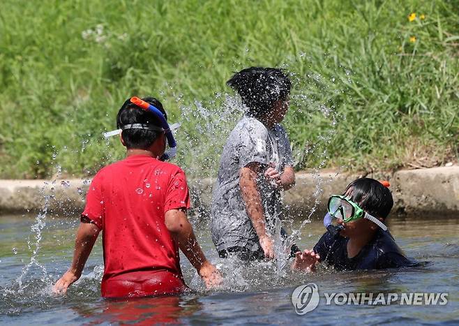 하천에서 물놀이하는 어린이들 [촬영 양지웅]