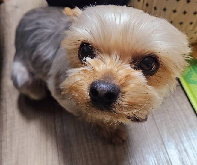 20250329_230112.jpg 냉이 된장찌개에 냉동목심