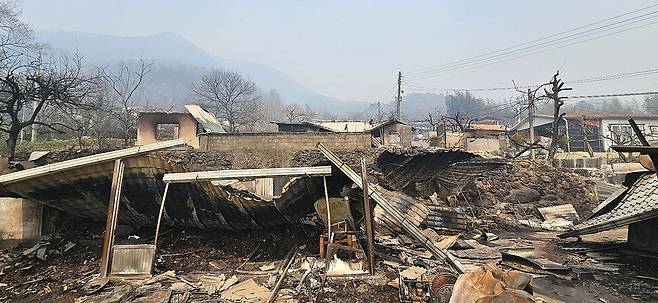 지난 22일 산청 산불로 완전히 불탄 경남 산청군 시천면 외동마을 주택. 이 마을에서만 주택 6채가 불탔지만, 다행히 주민 모두 긴급대피해서 단 한명의 인명피해도 발생하지 않았다. 최상원 기자