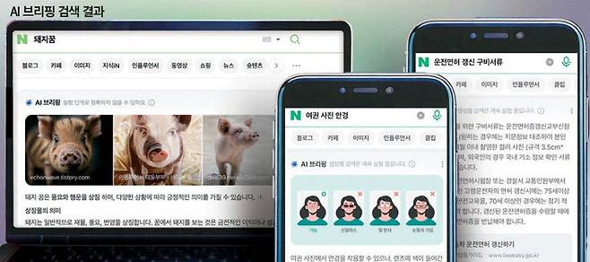 검색어에 따라 한국 상황에 가장 잘 맞는 답변을 AI가 찾아서 보여주는 네이버의 'AI 브리핑' 검색 화면.  네이버