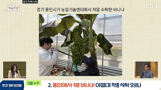 CBS 경제연구실 유튜브 캡처