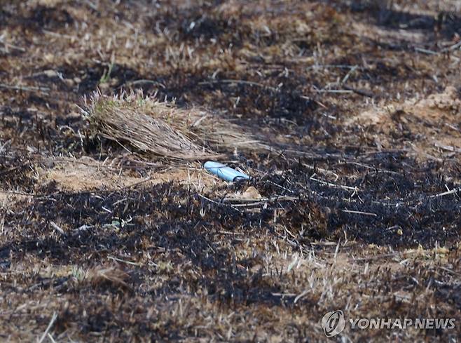 경북산불 발화 추정 지점서 발견된 라이터 (의성=연합뉴스) 박세진 기자 = 29일 경북산불 최초 발화 추정 지점인 의성군 괴산리 야산 묘지에 라이터가 버려져 있다. 2025.3.29 psjpsj@yna.co.kr