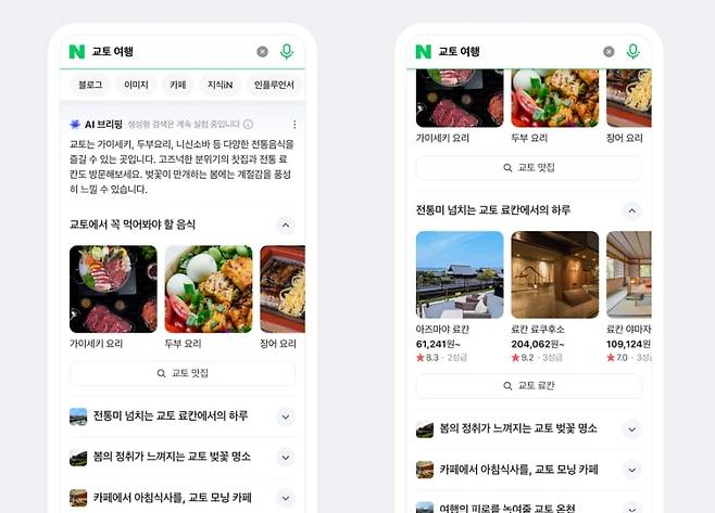 네이버의 요약 검색 서비스 'AI 브리핑'./네이버 제공