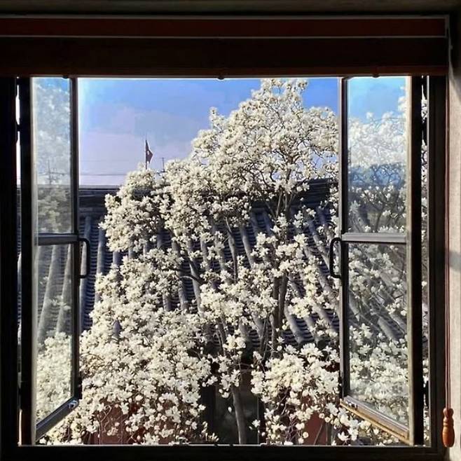 인스타그램 @jungjiyoungcoffee