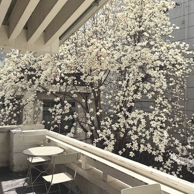 인스타그램 @all_knowing.official