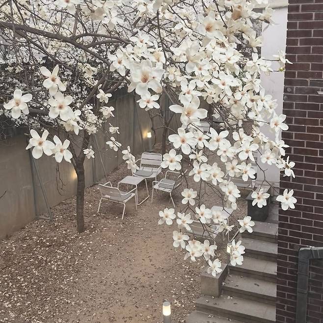 인스타그램 @all_knowing.official